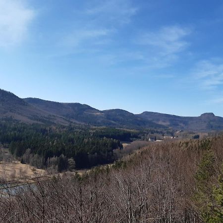 Agroturystyka Tam Gdzie Sosny Scinawka Dolna Exterior photo
